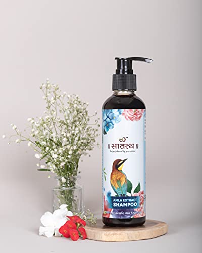 Organic Amla Aritha Shikakai Shampoo for Hair Growth - Natural & Chemical-Free Hair Care - Promotes Strong, Shiny Hair for Daily Use & Ayurvedic Hair Treatment