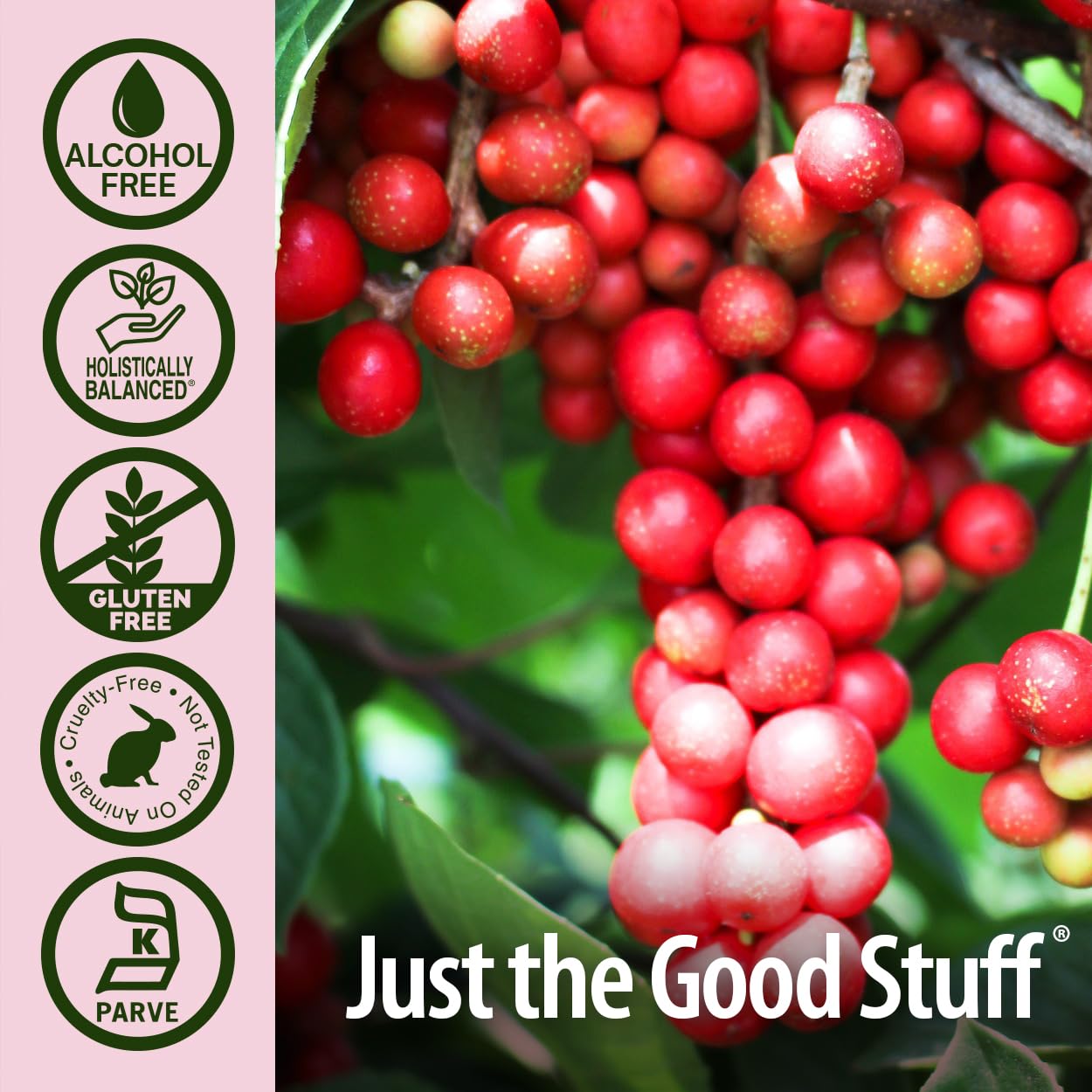 Nature's Answer Schisandra Berry 1oz Extract - Supports Digestion, Cognitive Function & Stress Relief | Natural Herbal Supplement | Perfect for Daily Wellness & Mental Clarity