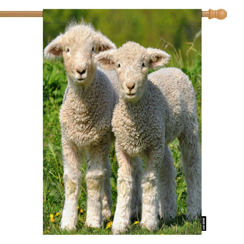 HGOD DESIGNS Lamb House Flag - 28