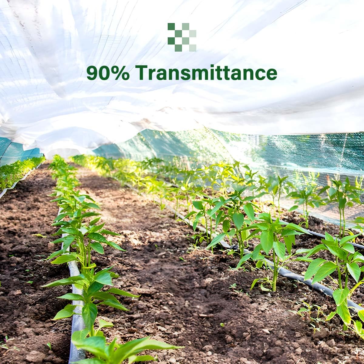 6 Mil Clear Greenhouse Plastic Sheeting 32 x 40FT - Heavy Duty UV Resistant Polyethylene Film for Gardening & Farming - High Light Transmission, Weatherproof Cover for Greenhouses, Plant Tunnels & Hoop Houses
