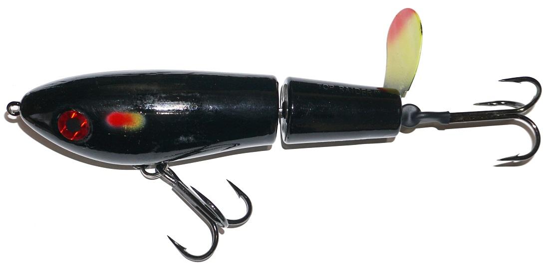 rainbow trout