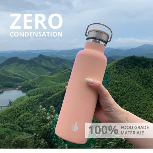 Elemental Classic 25oz Stainless Steel Water Bottle - Double Wall Insulated Thermos with Bamboo Lid, Leak Proof & Sweat Proof - Perfect for Travel, Gym, Hiking & Outdoor Activities - Matte Rose Finish for Stylish Hydration