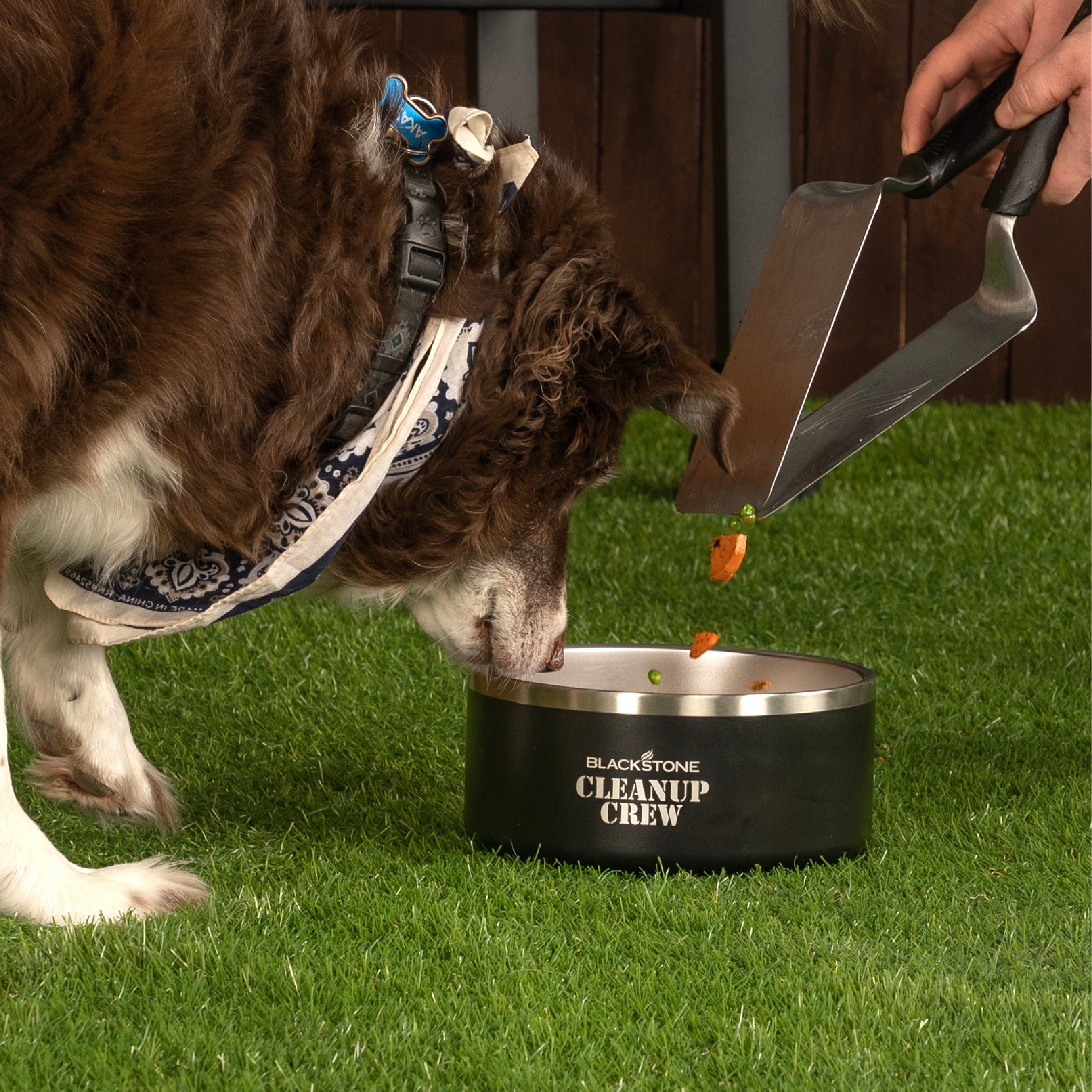 Best Insulated Dog Bowl for Hot & Cold Food - Double-Wall Stainless Steel Pet Bowl for Travel, Camping & Outdoor Use