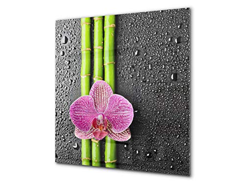 Pink Orchid