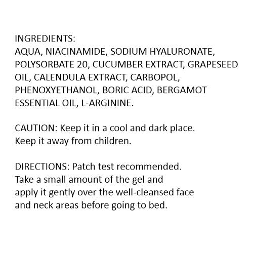NOX DETOX Night Face Gel for Men & Women - Niacinamide & Hyaluronic Acid Infused with Calendula & Bergamot | Vegan Skincare for Normal, Oily, Combination & Acne-Prone Skin | Perfect for Nighttime Hydration & Skin Repair