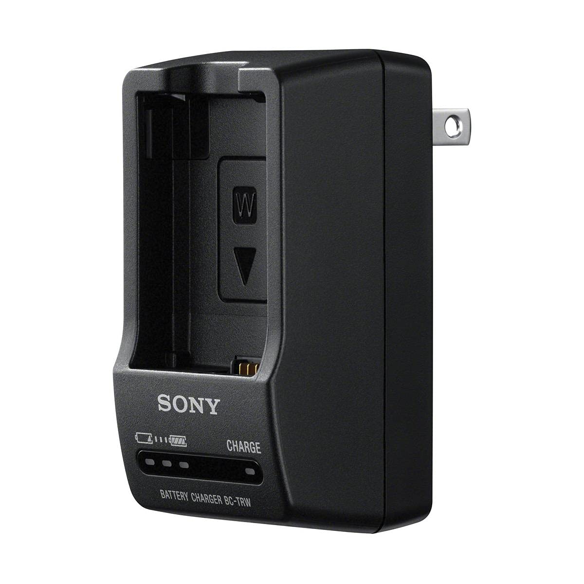 Sony A6000 & A6300 Camera Accessory Bundle - Genuine NPFW50 Battery, BC-TRW Quick Charger & PCKLM17 Screen Protector for Travel & Vlogging