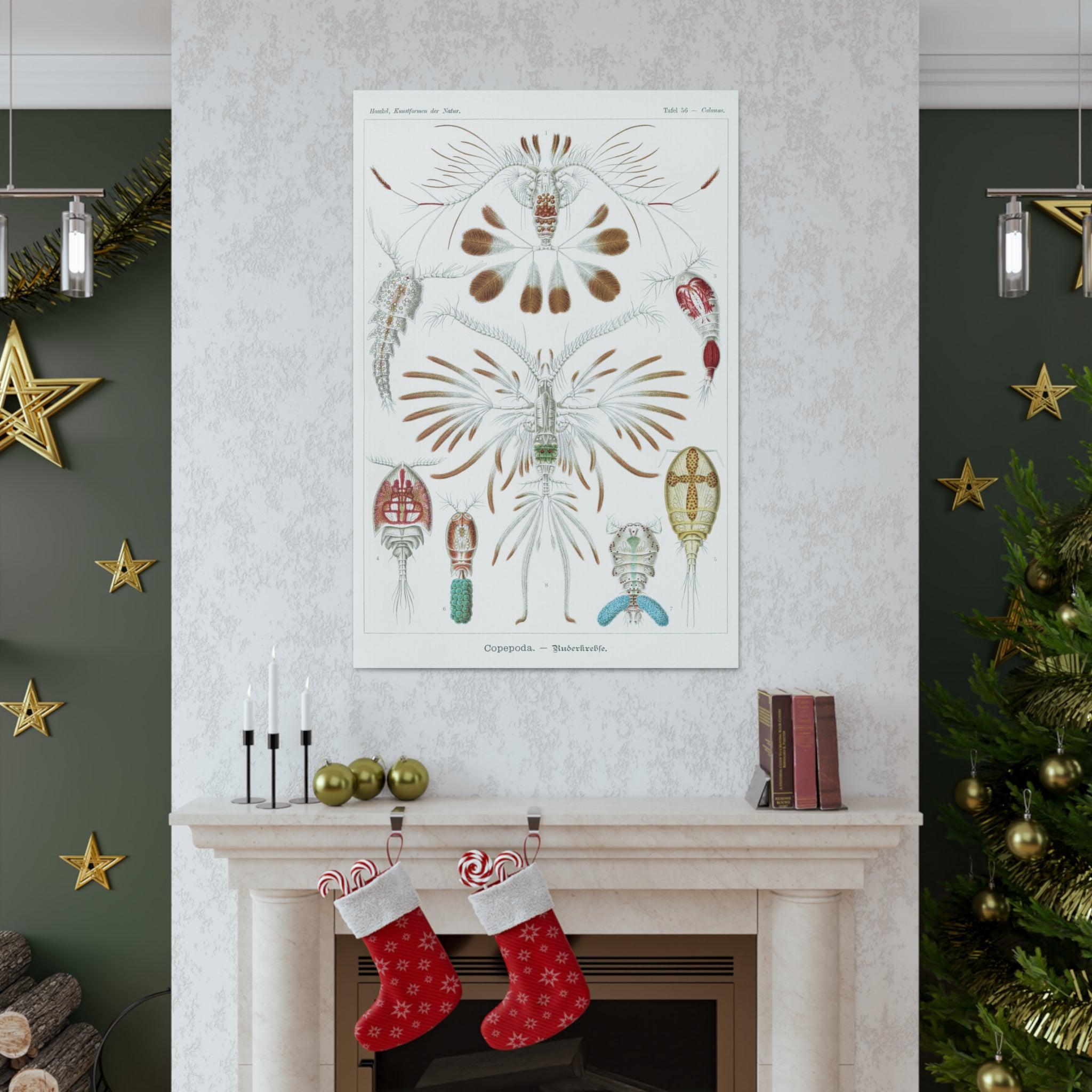 Copepoda Ruderkrebse by Ernst Haeckel - Premium Canvas Art Print for Home & Office Decor | Marine Biology Wall Art | Scientific Illustration Gift