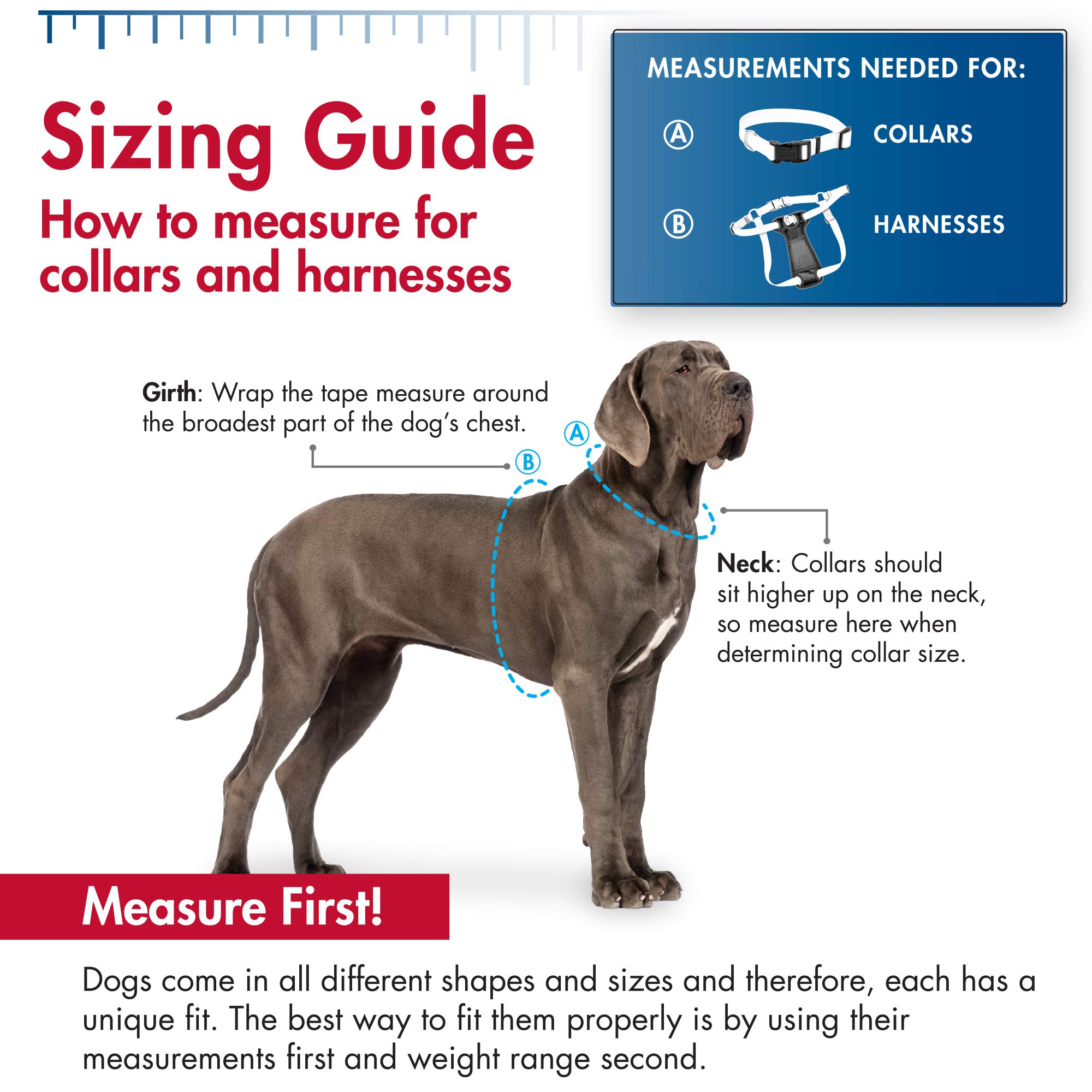 Macho Dog® Heavy Duty Double-Ply Nylon Dog Collar with Roller Buckle - Adjustable & Durable Pet Collar for Large Dogs, Perfect for Walking, Training & Outdoor Adventures