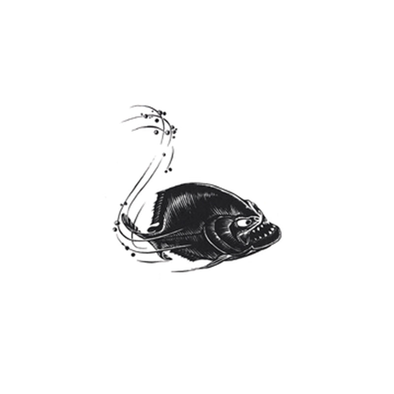 Piranha Fish for Aquarium - Live Freshwater Piranha for Exotic Fish Tanks - Perfect for Home Aquariums & Aquatic Displays