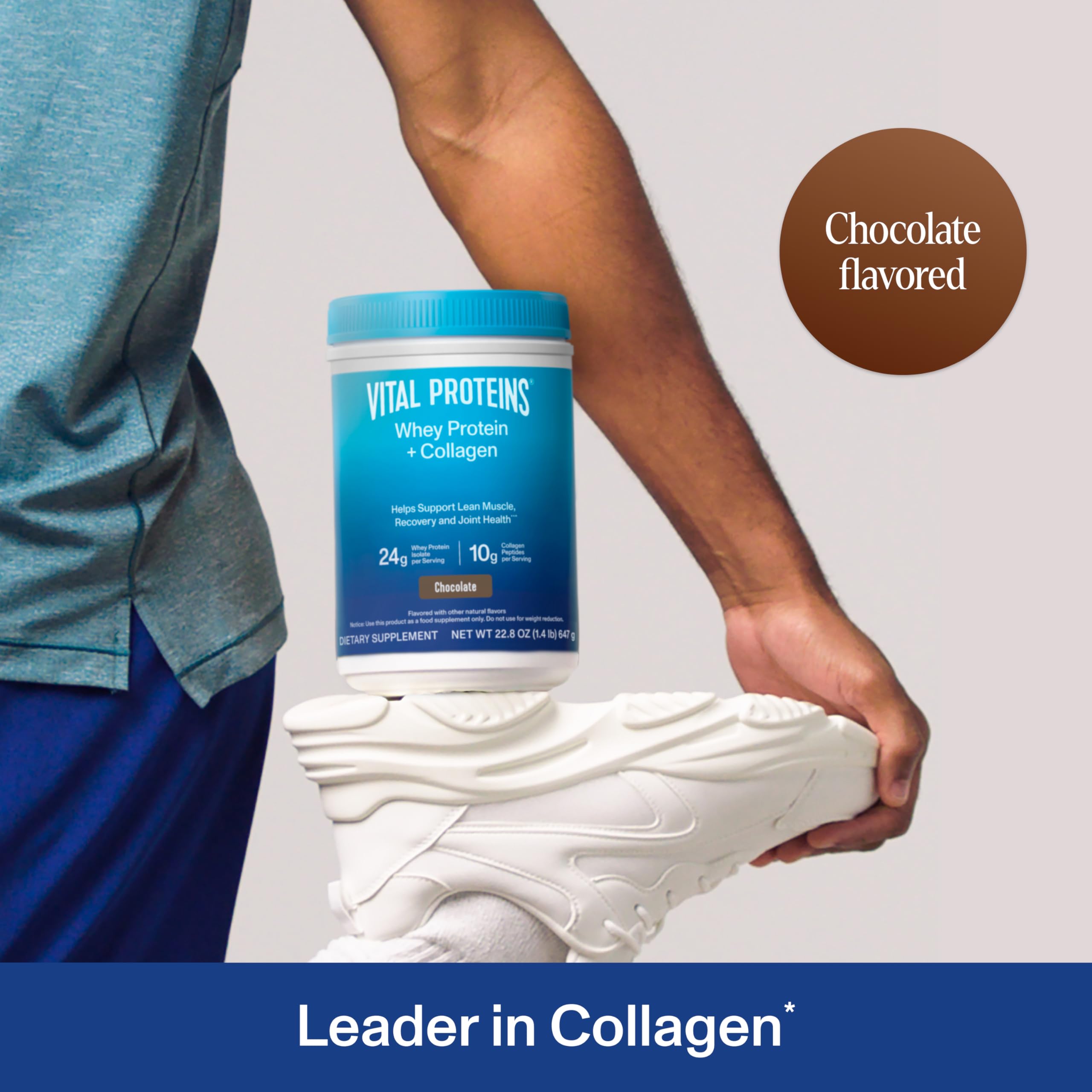 Vital Proteins Whey Protein Powder with Collagen Peptides - 24g Protein for Muscle Recovery & Joint Health, Vitamin C Enriched, Chocolate Flavor (22.8oz, 16 Servings) - Ideal for Post-Workout, Fitness Enthusiasts & Active Lifestyles