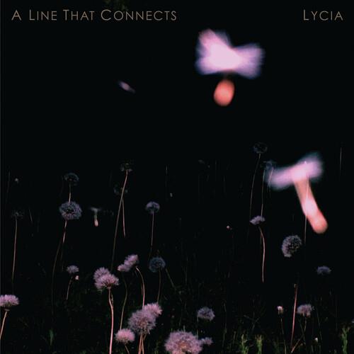 A Line That Connects Vinyl LP Record - Limited Edition Collectible Music Album for Audiophiles & Vinyl Enthusiasts | Perfect for Home Listening, Gifts & Music Collections