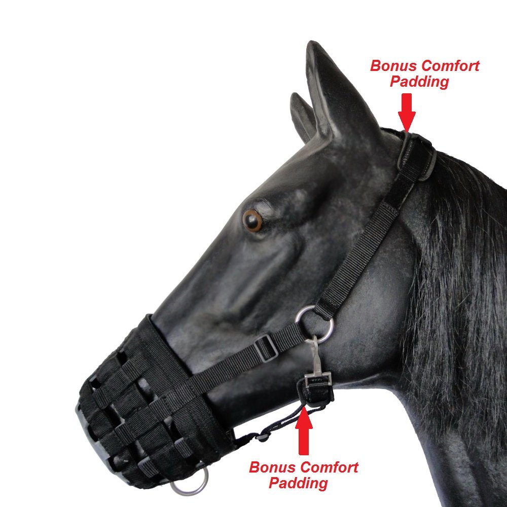 Premium Comfort Lined Grazing Muzzle for Horses & Ponies – Heavy Duty Waffle Neoprene with Soft Chin & Neck Pads – Size: Pony – Ideal for Pasture, Training & Weight Management