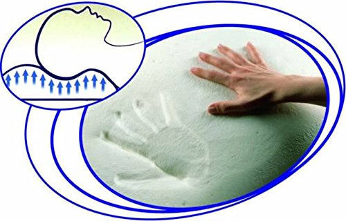 EvergreenWeb - 2 Pack Memory Foam Pillows 50x50cm, 15cm High with Goose Feather Effect, Hypoallergenic Neck Pain Relief Pillows for Mattresses, Beds & Sofas - Perfect for Side Sleepers & Office Chairs
