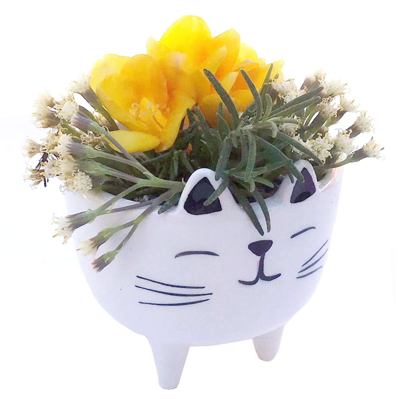 Ceramic Succulent Planter Pots - White Cat Mini Indoor Planters for Home, Office & Garden Decor | Perfect for Small Plants, Cacti & Air Plants