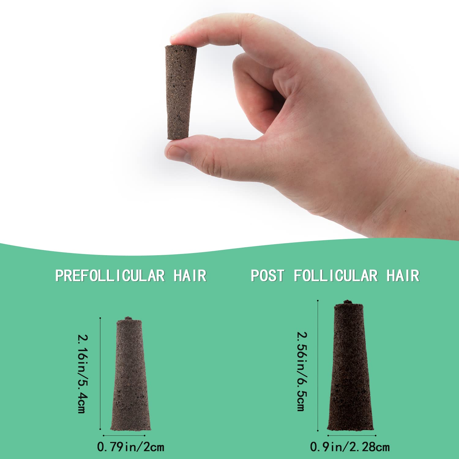 50pcs Hydroponic Grow Sponges - Seed Root Growth Sponges for Aerogarden & Indoor Gardening, Perfect for Hydroponics System, Plant Starter, and Herb Growing at Home