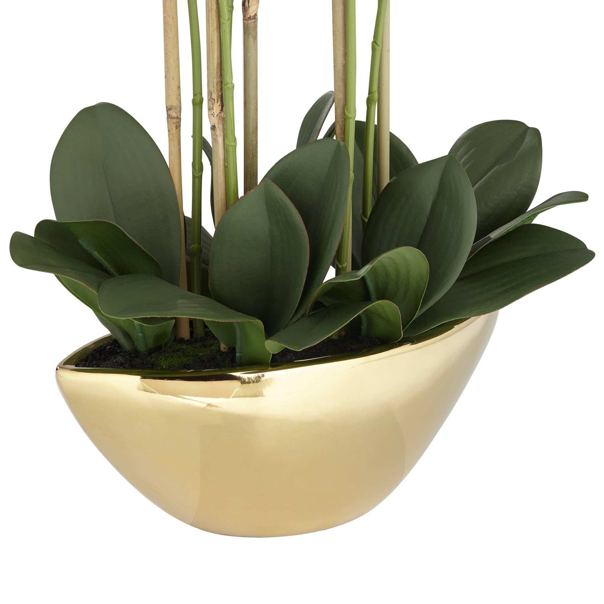 Belvois White Orchid 22