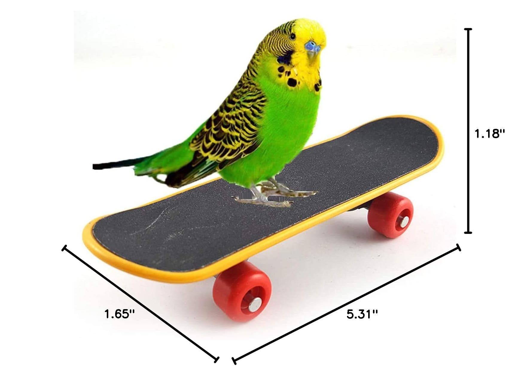 Bird Training Skateboard Toy - Mini Intelligence Skateboard for Budgies, Parakeets, Cockatiels, Lovebirds & Conures - Fun Perch Toy for Small & Medium Birds - Perfect for Playtime & Training Sessions