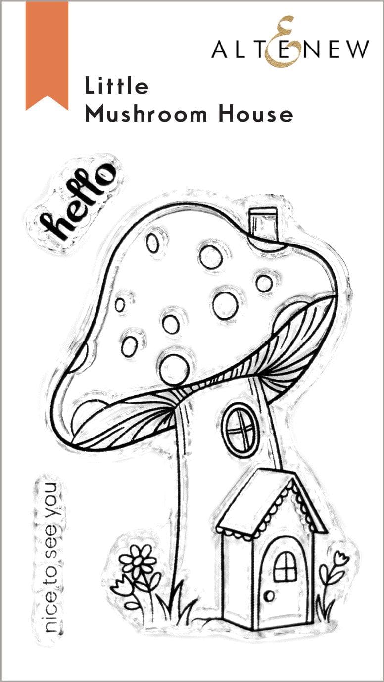 Little Mushroom - Organic Dried Mushrooms for Cooking & Soups - Perfect for Vegan, Keto & Healthy Recipes