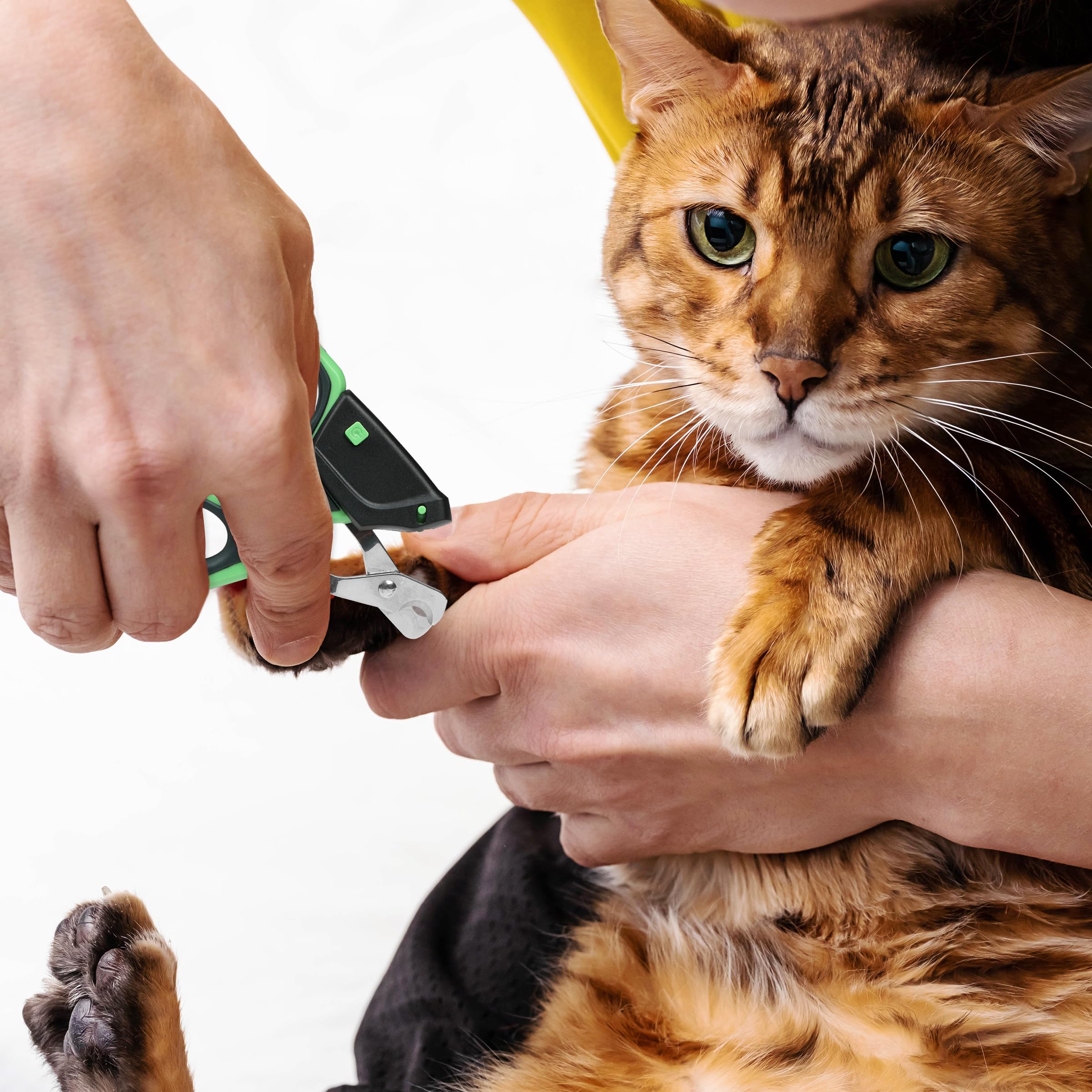 LED Cat Nail Clipper with Light - Pet Grooming Tool for Cats & Small Dogs