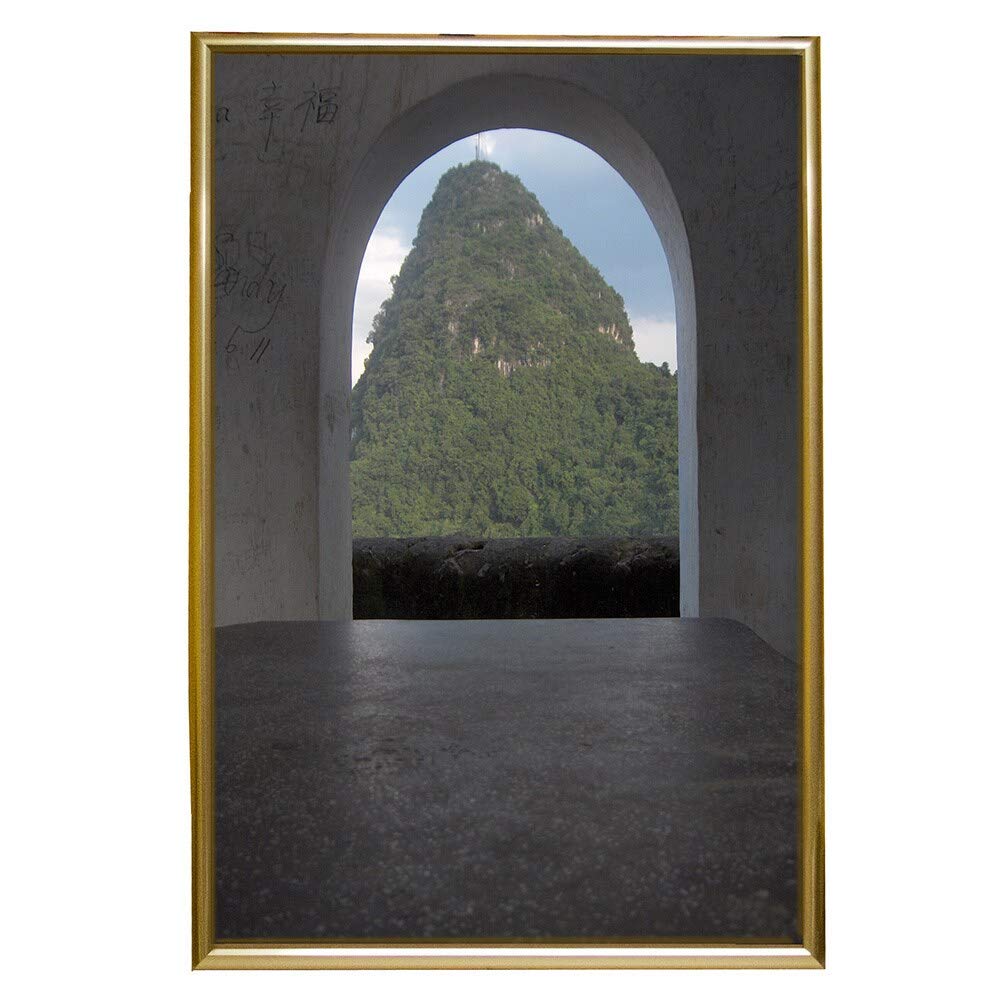 Frame USA 27x41 Deluxe Polystyrene Plastic Poster Frames (Gold) - American Made Wall Art Display for Home, Office & Classroom Decor