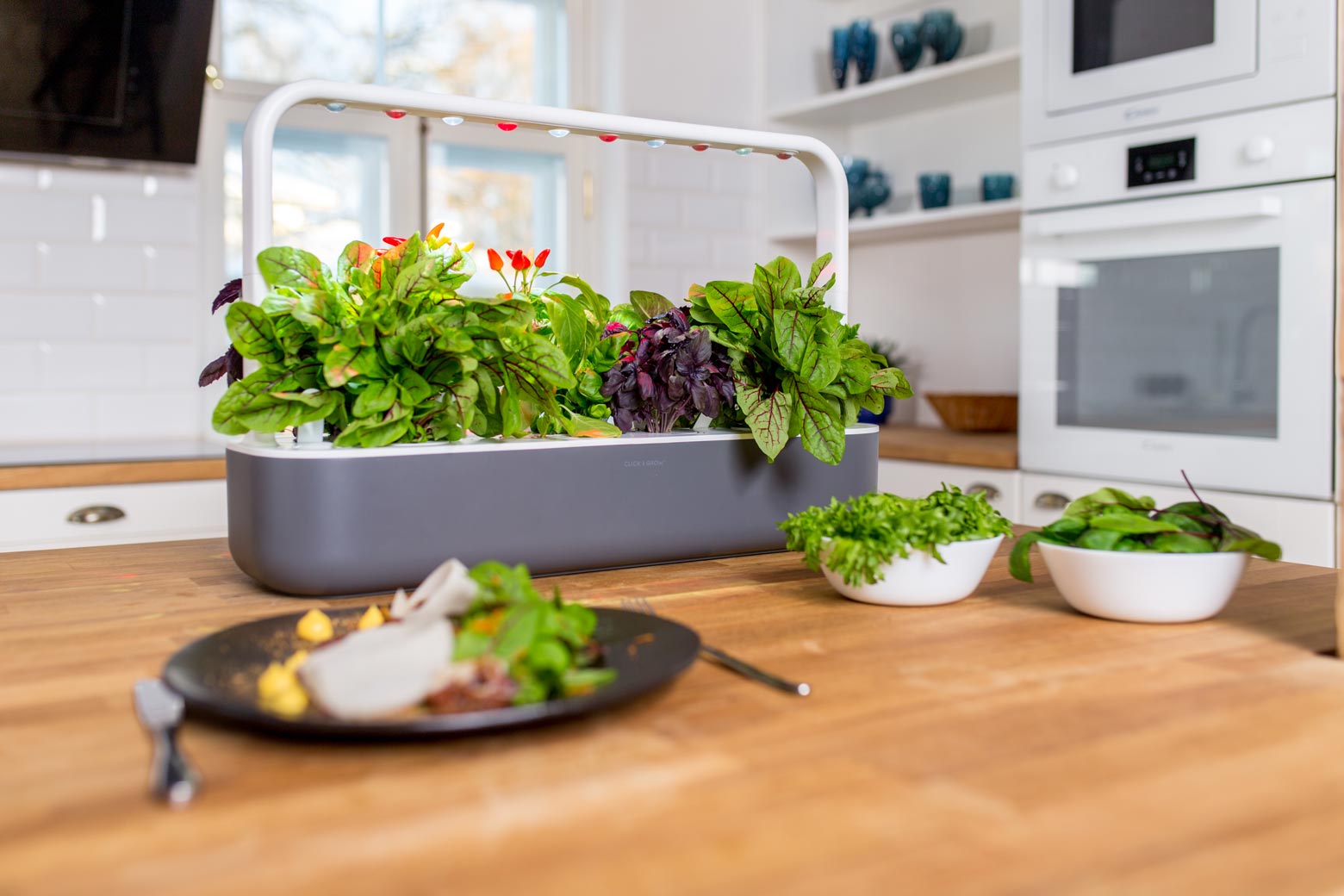 Click & Grow Smart Garden 9 - Indoor Herb Garden Kit with Self-Watering System, Perfect for Kitchen, Office, or Home Decor - Grow Fresh Basil, Mint & More Year-Round
