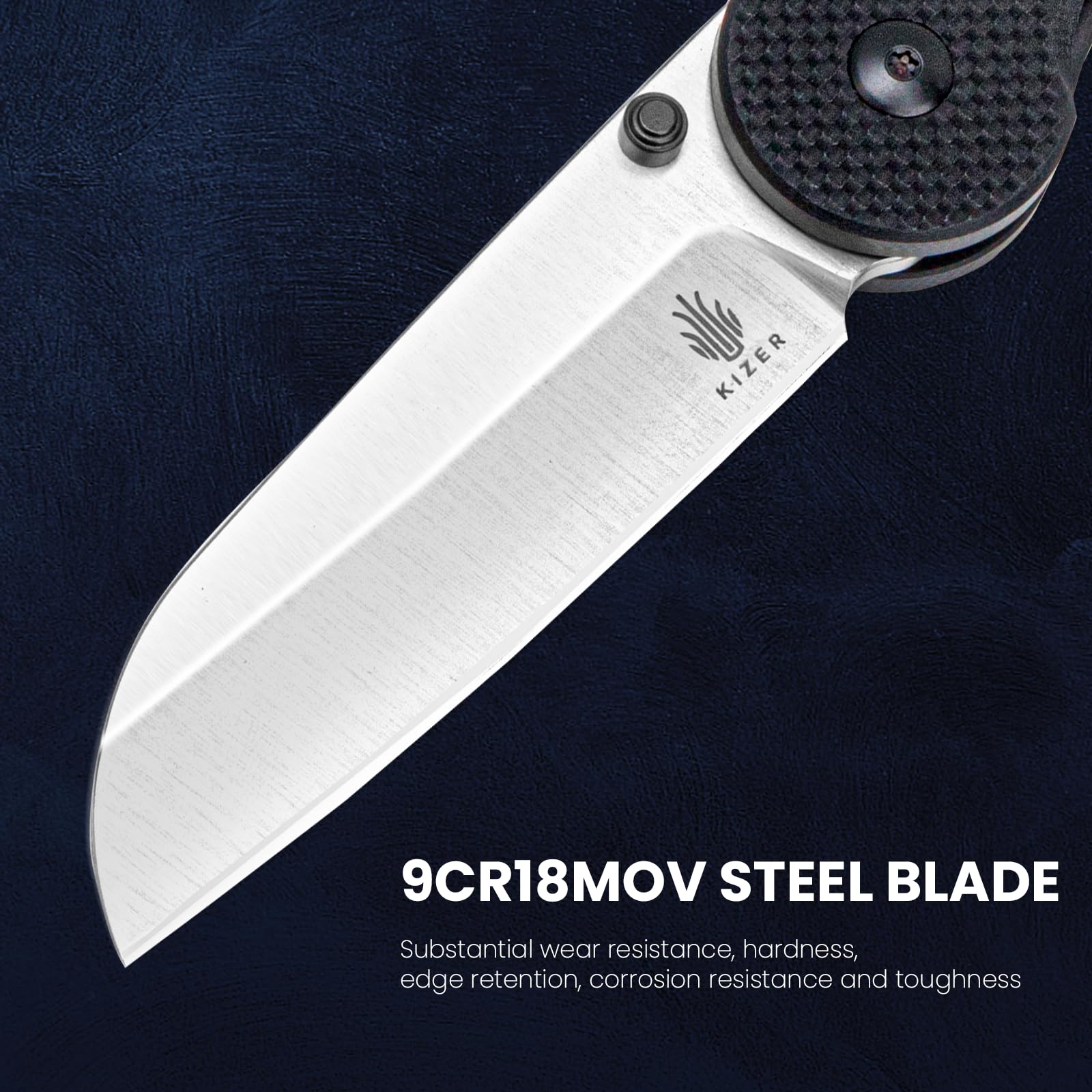 Kizer Seahorse EDC Pocket Knife - 3.03