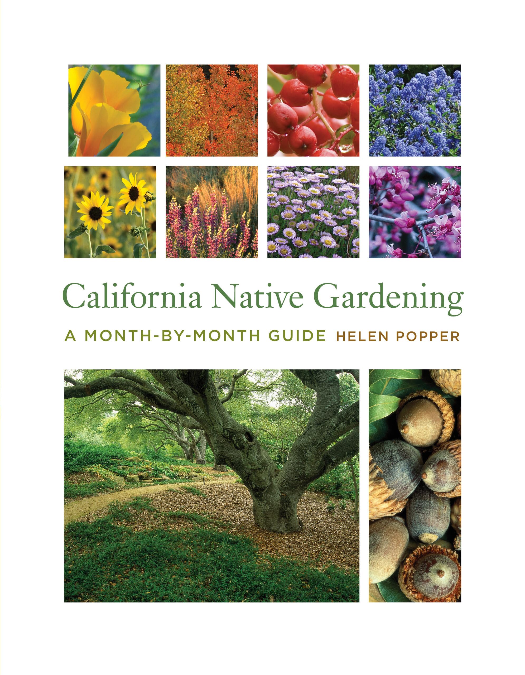 California Native Gardening Guide: Month-by-Month Planting Tips for Drought-Tolerant Landscaping | Perfect for Eco-Friendly Yards & Water Conservation