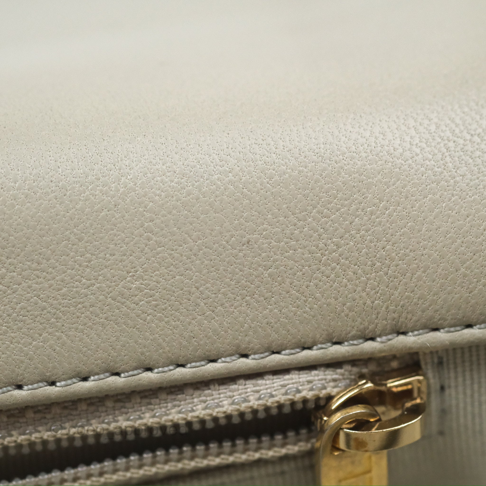 Chanel 19 Small Handbag in Sage Green with Mixed Hardware - Luxury Shoulder Bag for Women, Perfect for Everyday Use & Special Occasions