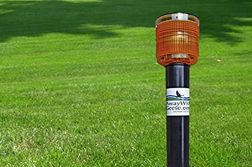 Effective Land Based Goose Repellent Unit - Humane Bird Deterrent for Gardens, Parks & Farms | Safe & Eco-Friendly Solution