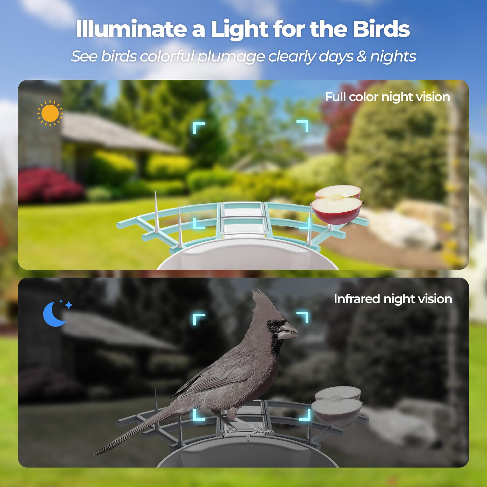 Smart Bird Feeder with HD Camera & Solar Power - Wireless Live Streaming, Weatherproof Design - Perfect Gift for Bird Lovers (Backyard, Garden, Patio Wildlife Watching)