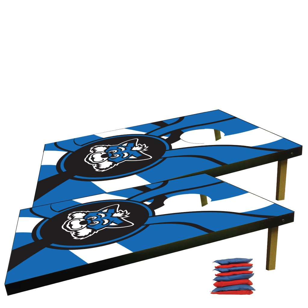 Indiana State University Cornhole Bag Toss Game - Official ISU Bean Bag Toss Set for Tailgating, Backyard Fun, and College Game Day Parties