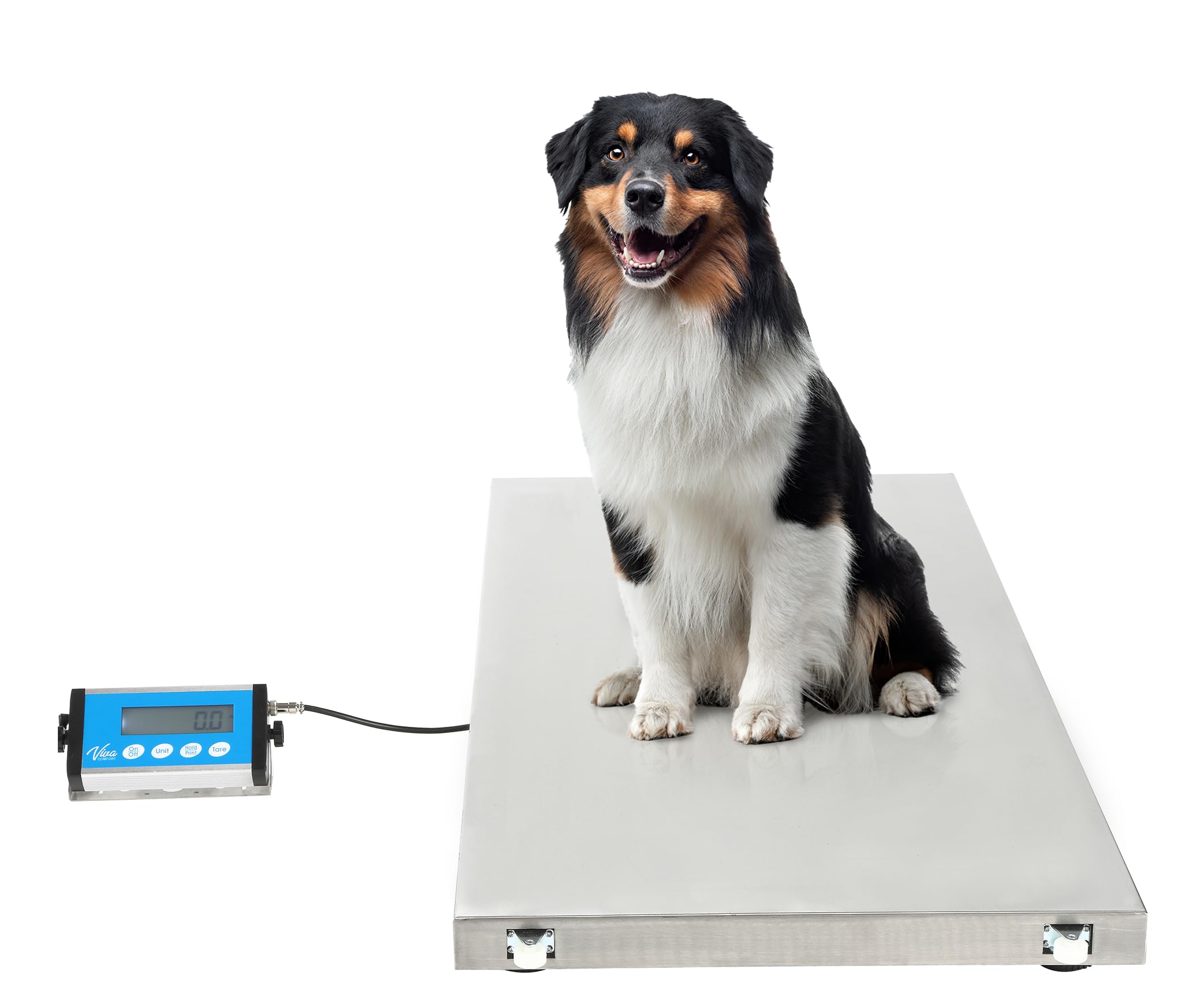 Digital Veterinary Scale for Large Dogs & Livestock - Heavy Duty 660 lbs Capacity (44.09