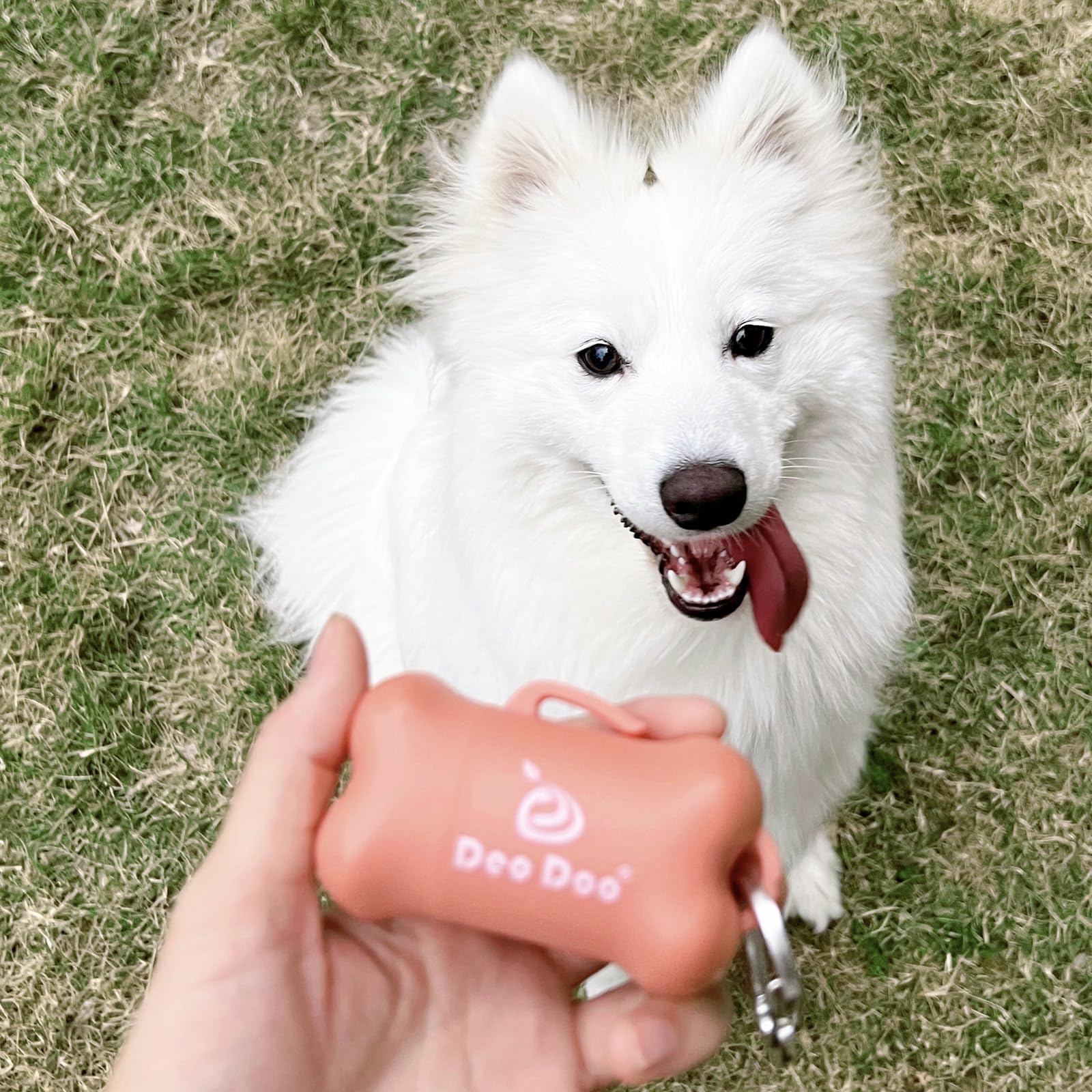 330 Count Scented Dog Poop Bags with Handles & Dispenser - Extra Thick Leak Proof Waste Bags for Small & Medium Dogs - Perfect for Walking, Park Visits & Backyard Cleanup - Peach Scented