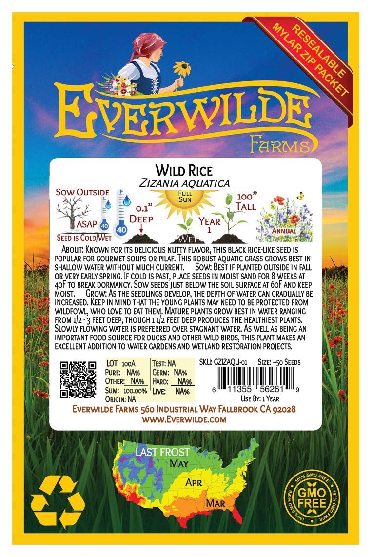 Everwilde Farms - 50 Wild Rice Native Grass Seeds - Gold Vault Jumbo Seed Packet for Organic Gardening, Landscaping & Wildlife Habitat Restoration