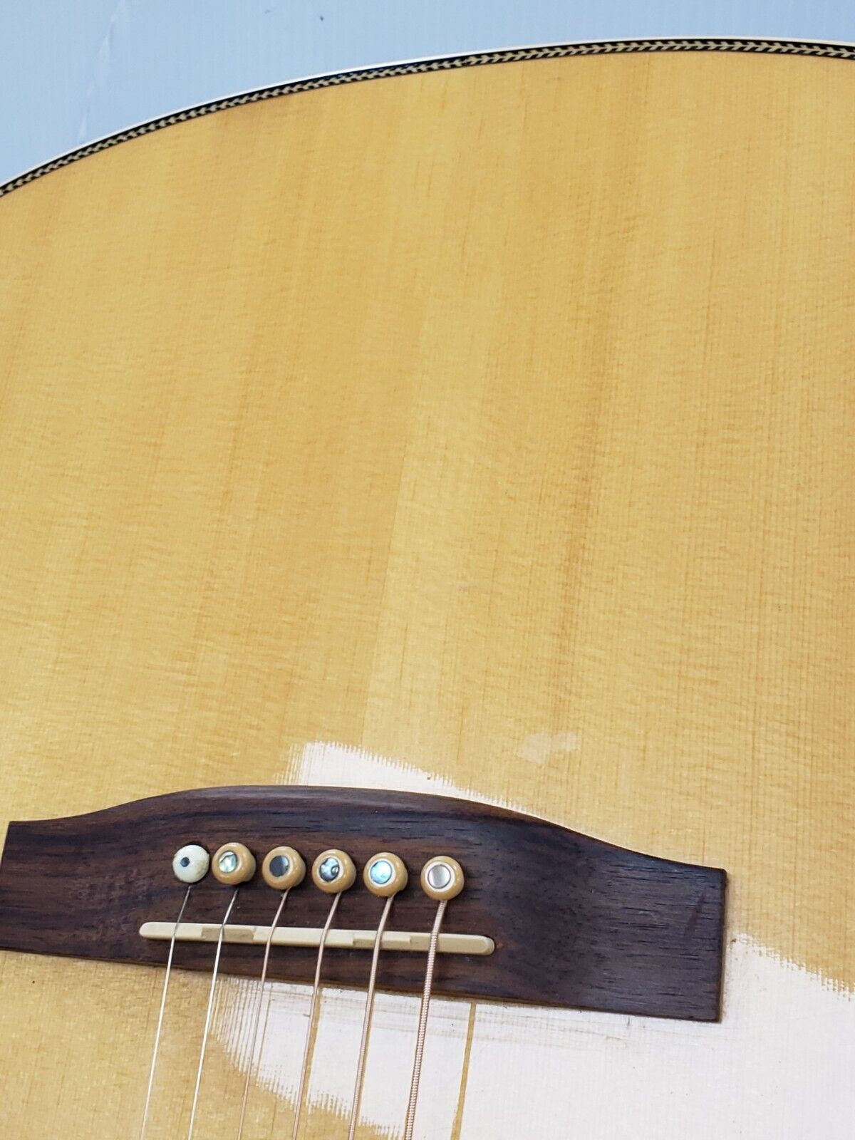 Seagull 22601 Acoustic Guitar - Premium Handcrafted Solid Wood Guitar for Beginners & Professionals - Perfect for Home, Studio & Live Performances