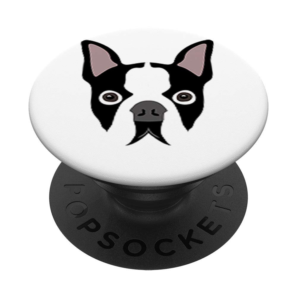 Boston Terrier Dog - Adorable Small Breed Puppy for Families & Apartment Living | Perfect Companion Pet for Home, Walks & Cuddles