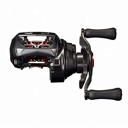 Daiwa Alphas AIR TW 20 Baitcasting Reel - Left/Right Handle (2020 Model) - Perfect for Bass Fishing, Saltwater & Freshwater Angling