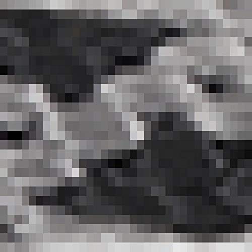 Black Ice Silver