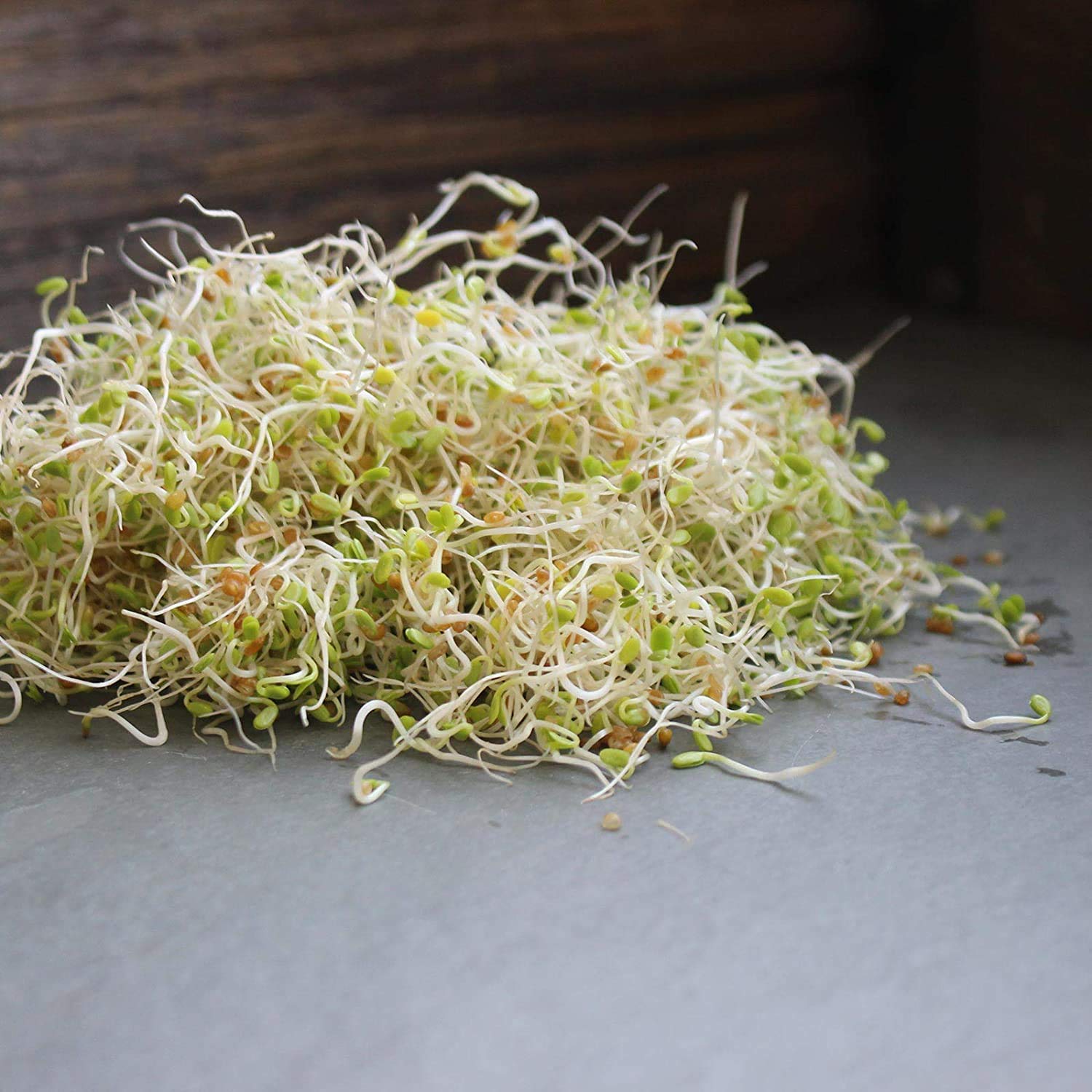 Organic Red Clover Sprouting Seeds - 1 Lb Resealable Bag by Handy Pantry | Non-GMO, High Germination Rate for Sprouts, Microgreens & Hydroponics | Perfect for Home Gardening, Healthy Salads & Food Storage