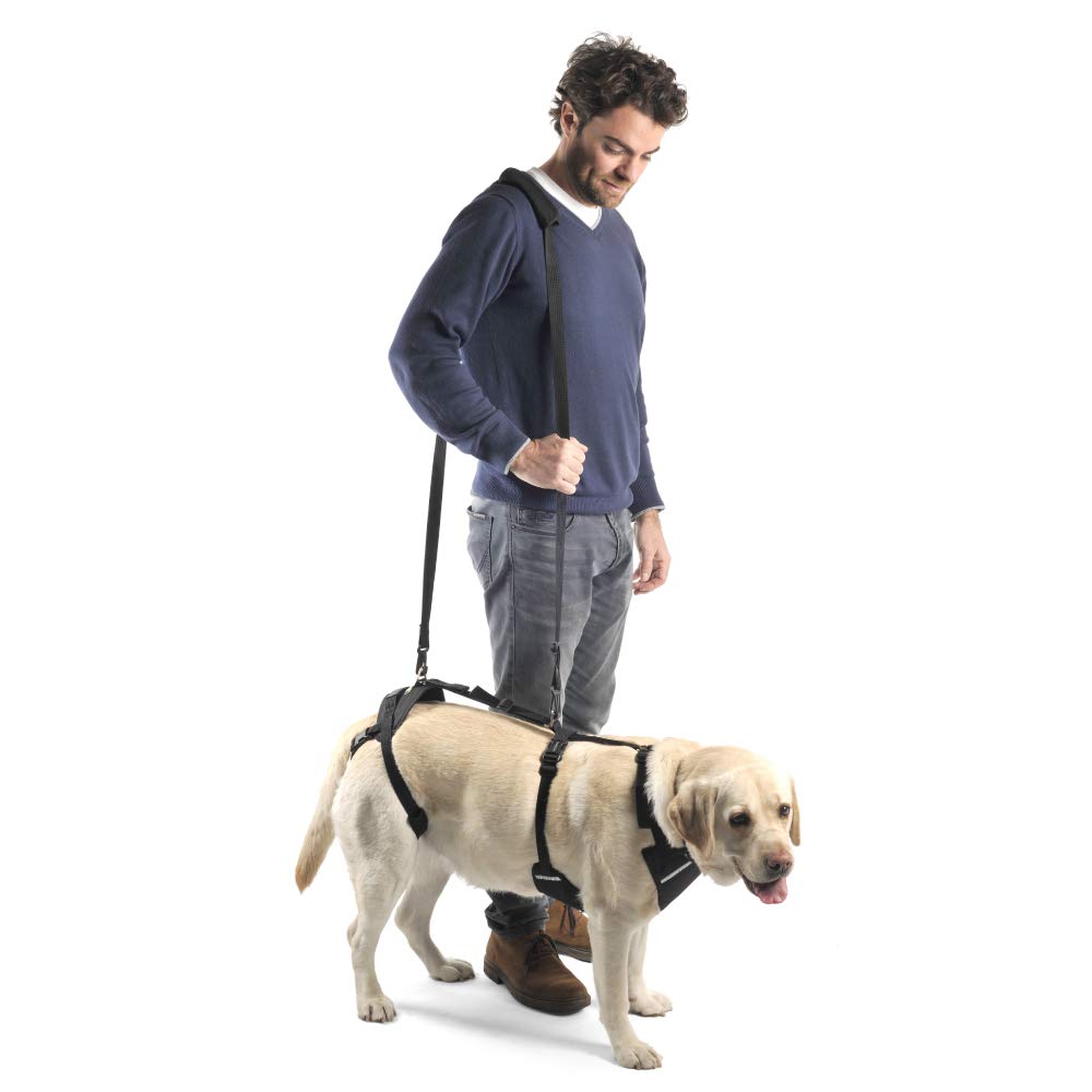 Ortocanis Full-Body Dog Harness for Fore and Hind Leg Support - Adjustable Pet Mobility Aid Vest for Small Dogs (Size S) - Ideal for Senior Dogs, Post-Surgery Recovery & Daily Walking Assistance