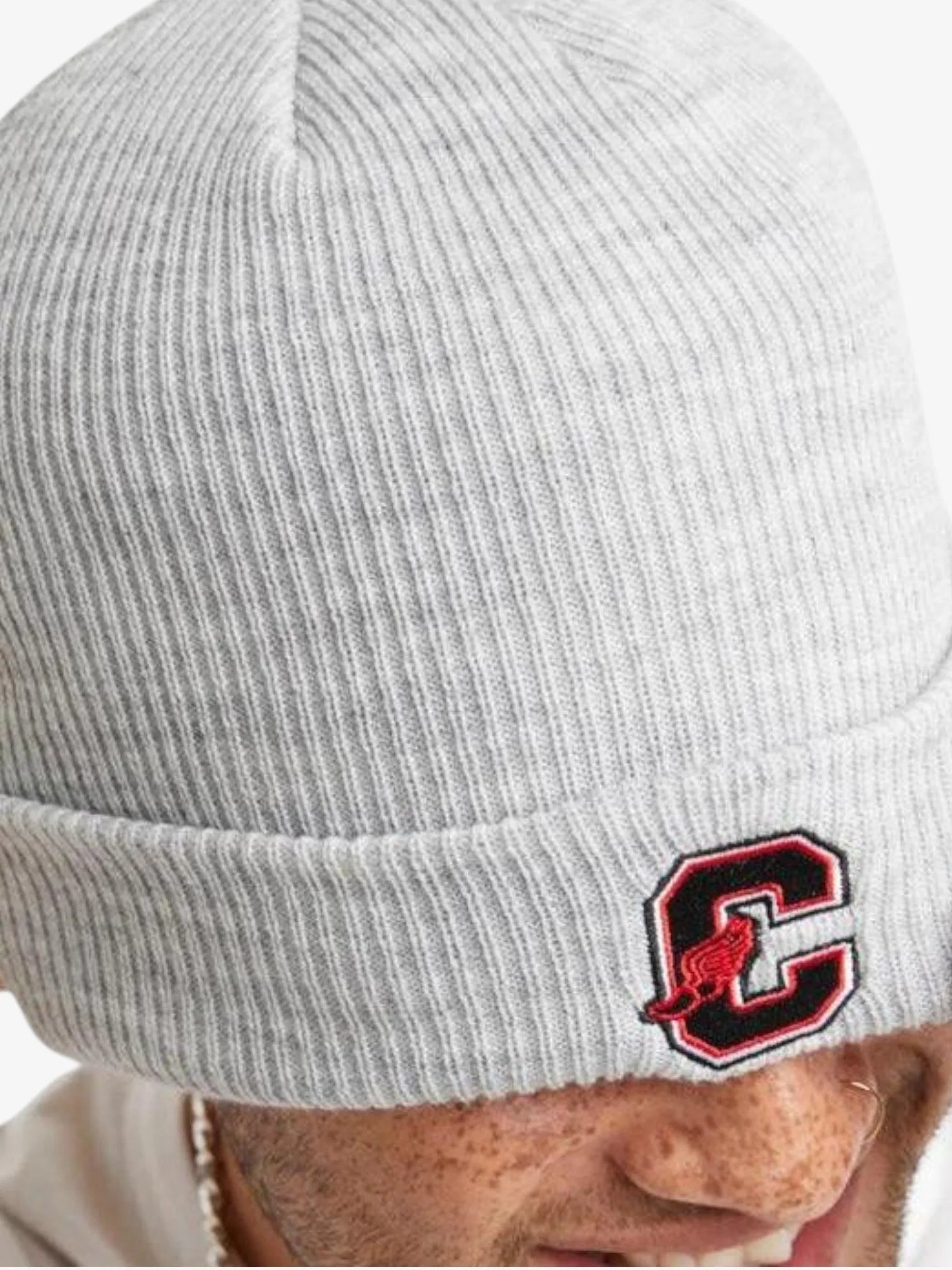 Champion Cuffed Beanie Hat for Men & Women - Soft Winter Knit Skull Cap - Warm & Stylish for Outdoor Sports, Running, Hiking
