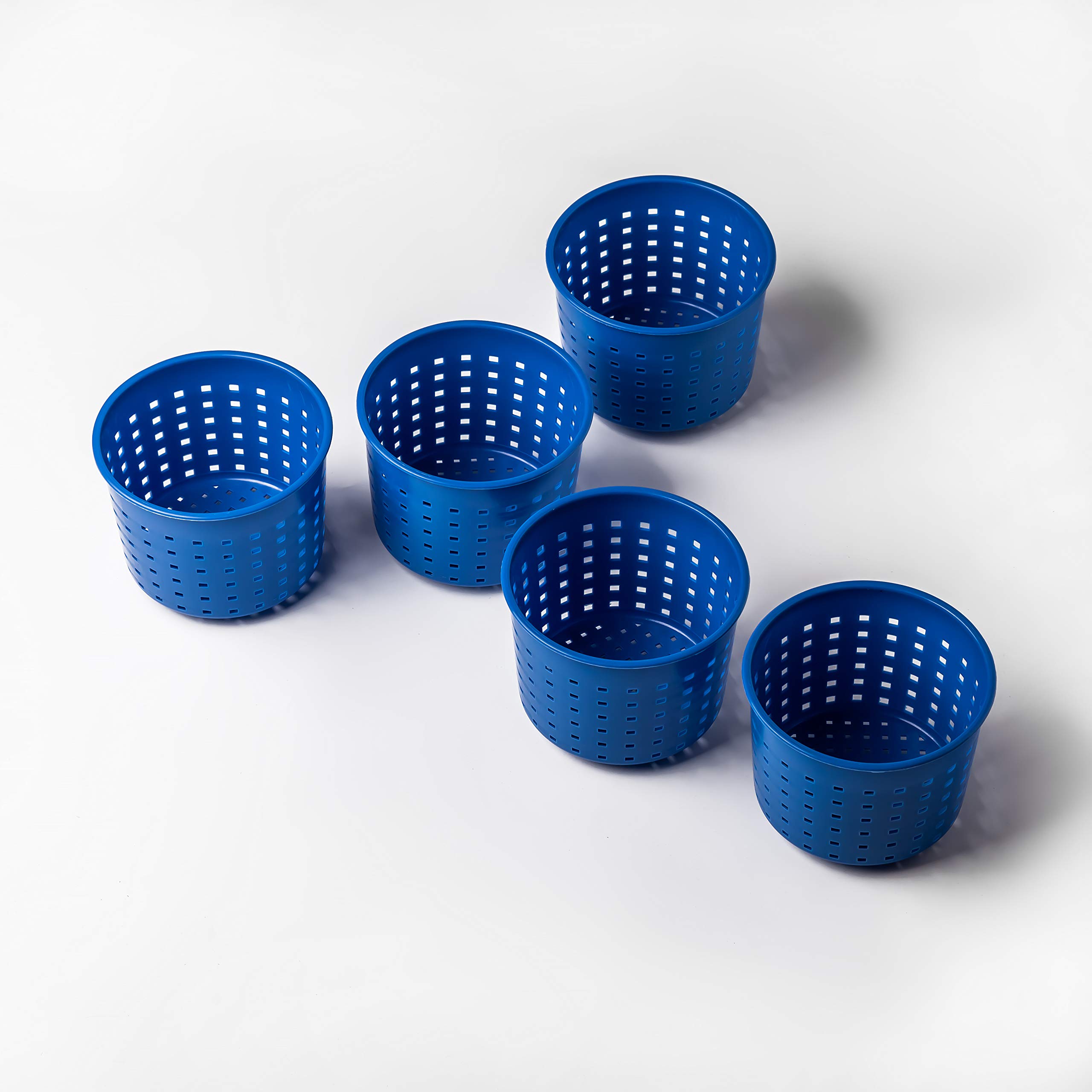 Premium Cheese Making Molds Kit - 5 Pack Soft Cheese Molds for Goat Cheese, Blue Cheese & Rennet Cheesemaking (0.3L/0.6lbs) - Essential Cheesemaking Supplies for Home Cheese Makers | Perfect for Artisan Cheese Production, DIY Cheese Crafting & Homemade Dairy Projects