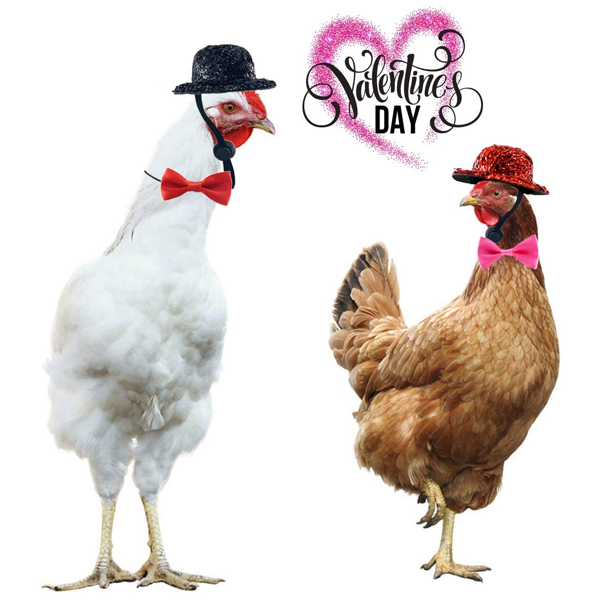 Vehomy Valentine's Day Chicken Costume Set - Adjustable Top Hat & Bowtie for Hens, Roosters, Ducks & Parrots (4-Piece Pet Accessories) | Perfect for Valentine's Photos, Farm Animal Dress-Up & Bird Costume Parties