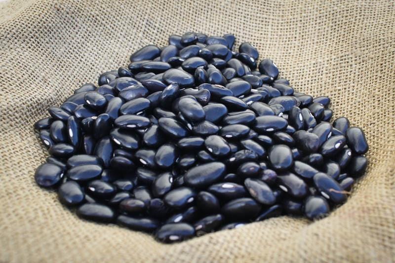 Premium Rancho Gordo Ayocote Negro Black Beans - 1 lb Pack | Organic Heirloom Mexican Beans for Soups, Stews & Traditional Dishes | Non-GMO, Gluten-Free Pantry Staple