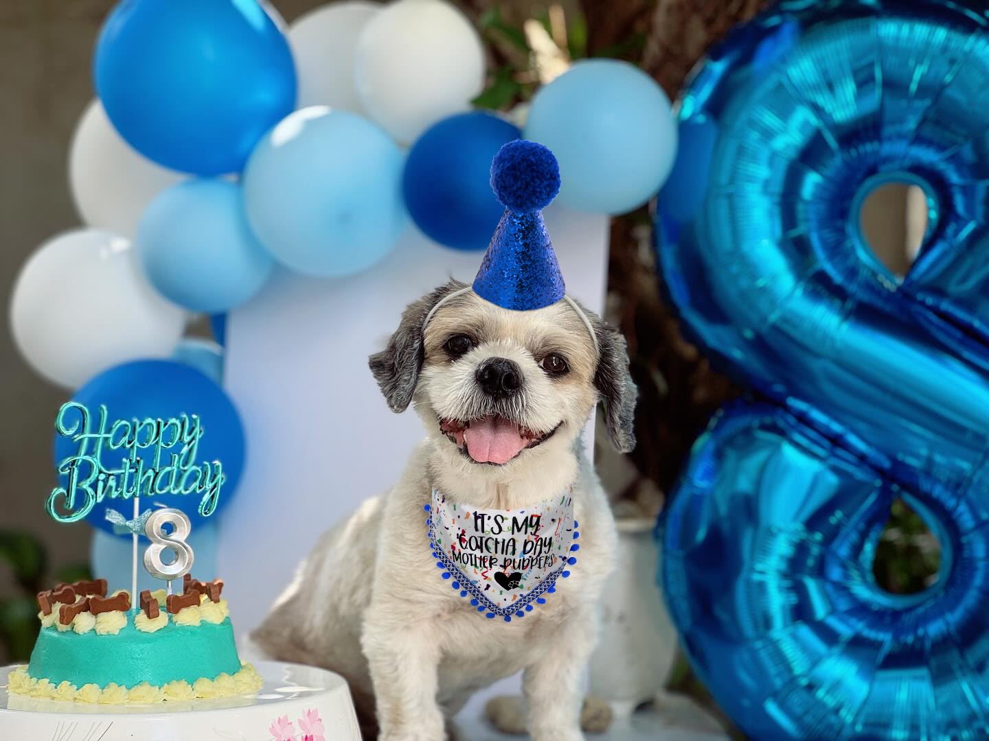 Dog Birthday Hat & Bandana Set - Cute Birthday Outfit for Small, Medium & Large Dogs - Perfect Gift for Dog Lovers - Great for Birthday Parties & Photo Shoots