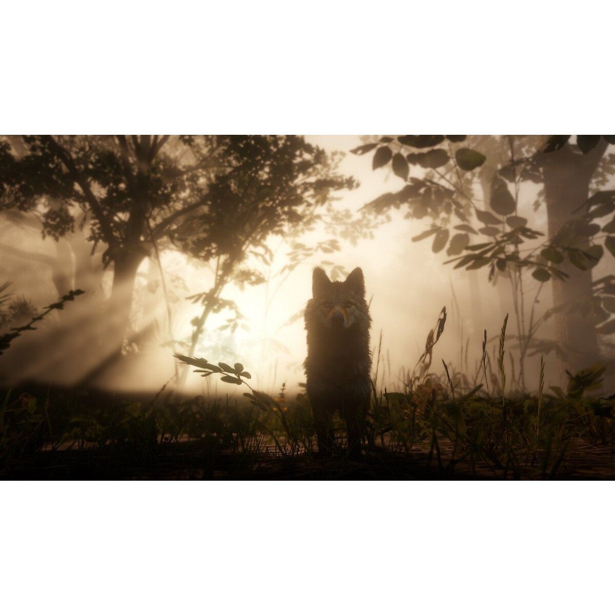 Red Dead Redemption II PS4 Game - Open World Western Action Adventure - Perfect for Gaming Enthusiasts & Western Fans - Great for Solo Play & Multiplayer Online
