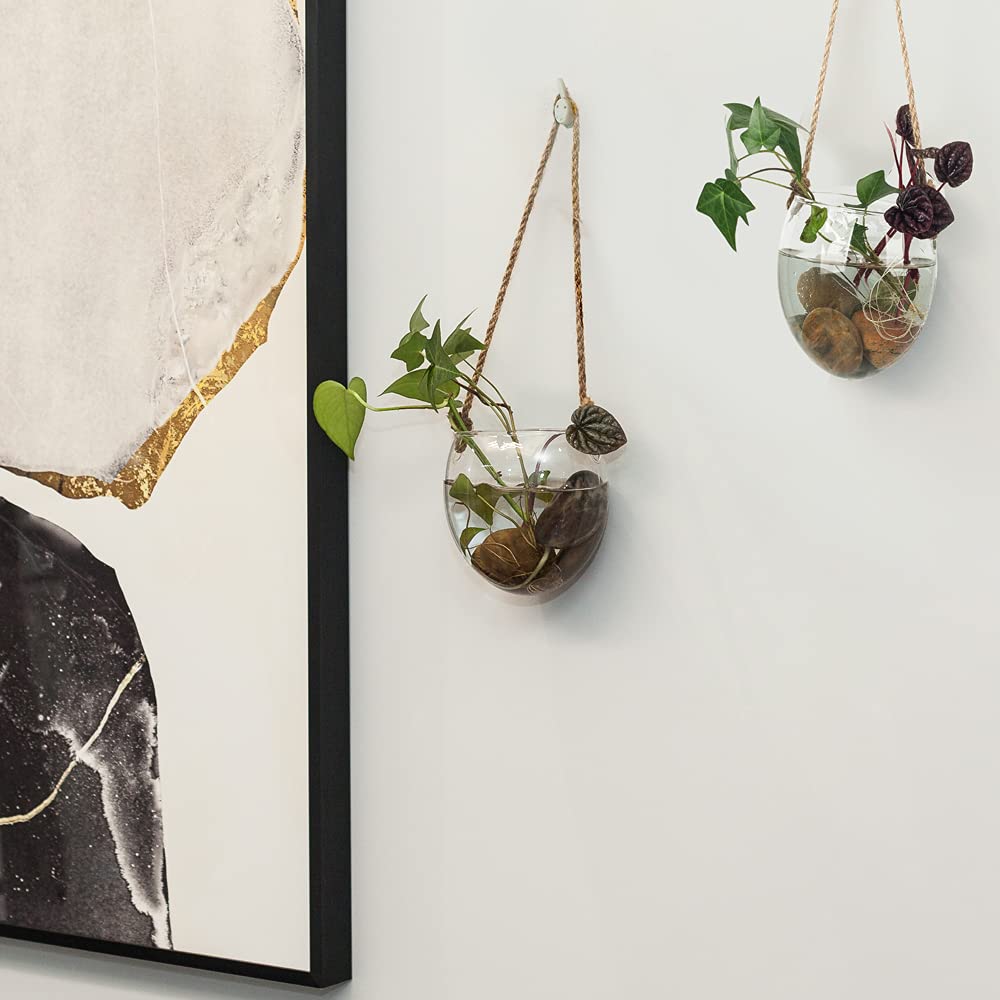 2 Pack Glass Terrariums for Plants - Hanging Oblate Shape Hydroponic Planter with Lid, Perfect for Home Garden, Office & Living Room Decor | Ideal for Succulents, Air Plants & Indoor Greenery