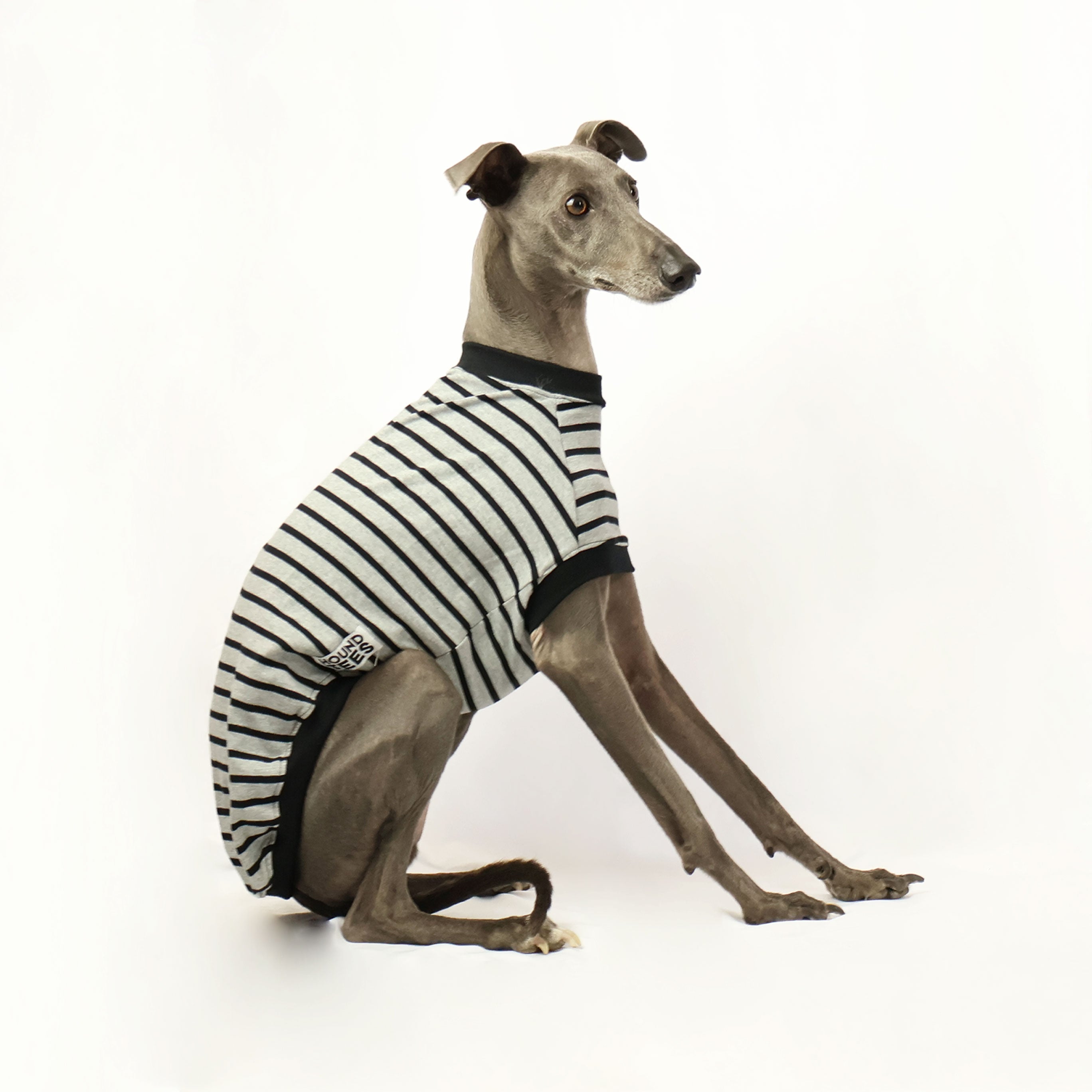 Baddie Whippet Sleeveless Hound T-Shirt - Trendy Dog Lover Apparel for Casual Wear & Pet Outings