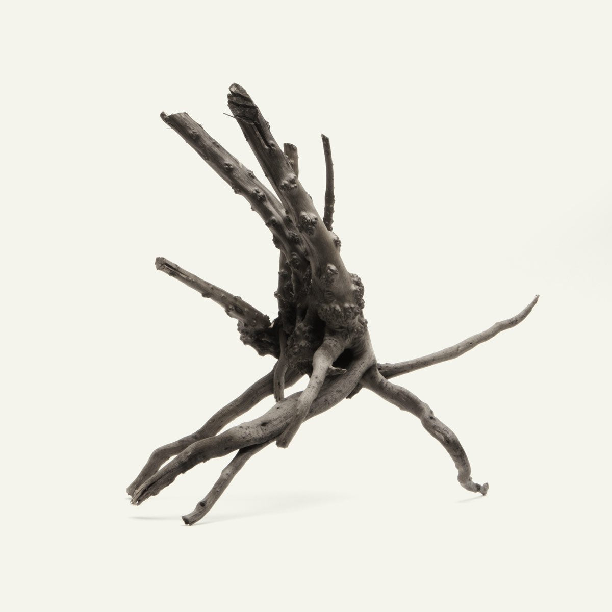 Premium Black Forest Spider Wood for Aquariums & Terrariums - Natural Driftwood Decor for Fish Tanks, Reptile Habitats & Home Décor