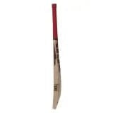 SS Supremo Adult Cricket Bat - Premium English Willow Cricket Bat for Men & Women - Perfect for Professional Matches, Training & Backyard Games